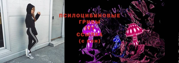 амф Новокубанск