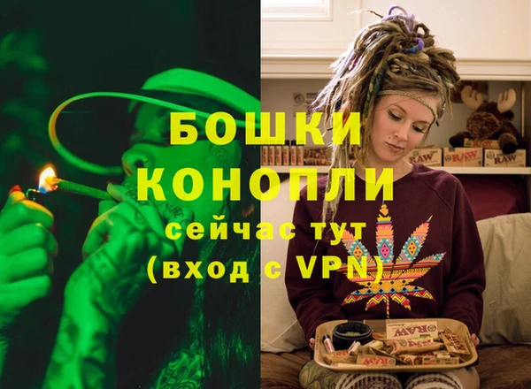 MDMA Новодвинск