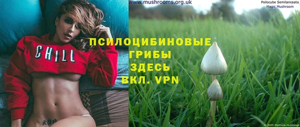 ПСИЛОЦИБИНОВЫЕ ГРИБЫ Нязепетровск