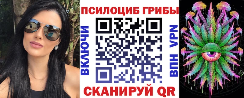 как найти   KRAKEN зеркало  Псилоцибиновые грибы мухоморы  Пучеж 